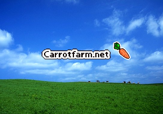 carrotfarm.net